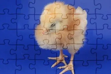 MARSU jigsaw puzzle