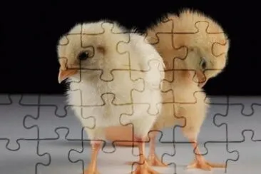 MARSU jigsaw puzzle