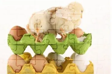 MARSU jigsaw puzzle