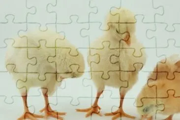 MARSU jigsaw puzzle