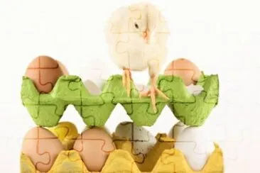 MARSU jigsaw puzzle