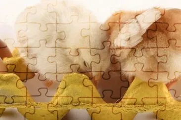 MARSU jigsaw puzzle