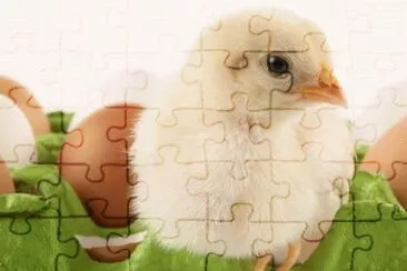 MARSU jigsaw puzzle