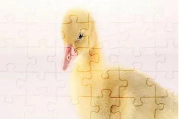 MARSU jigsaw puzzle