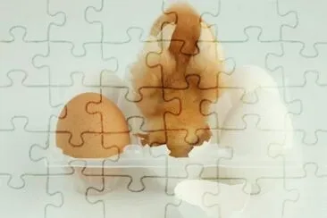 MARSU jigsaw puzzle