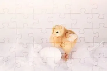 MARSU jigsaw puzzle