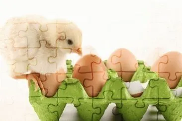 MARSU jigsaw puzzle