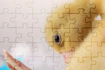 MARSU jigsaw puzzle