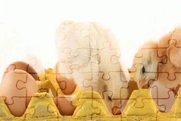 MARSU jigsaw puzzle
