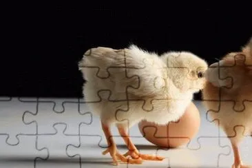 MARSU jigsaw puzzle