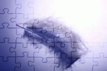 MARSU jigsaw puzzle