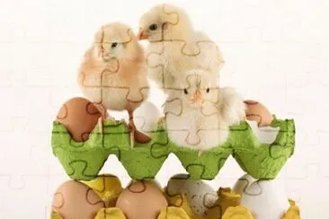 MARSU jigsaw puzzle