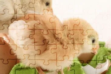 MARSU jigsaw puzzle