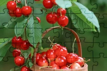 Cherries jigsaw puzzle