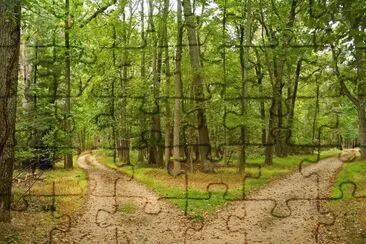 134 jigsaw puzzle