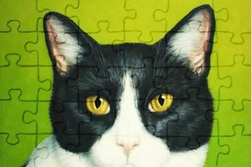 פאזל של gato