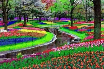 b jigsaw puzzle