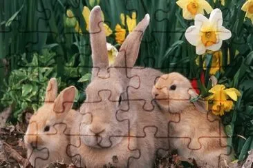 פאזל של Easter 2014