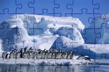 mar13 jigsaw puzzle