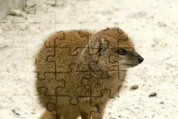 MARSU jigsaw puzzle