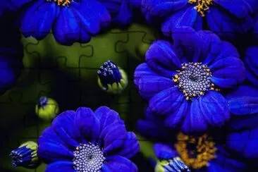 natureza jigsaw puzzle