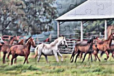 Running Horses