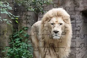 . jigsaw puzzle
