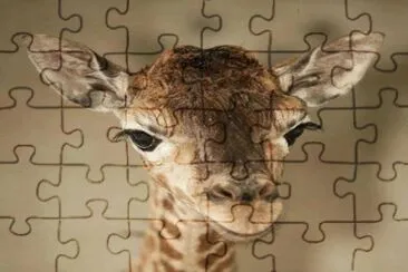 . jigsaw puzzle