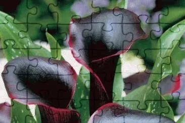. jigsaw puzzle