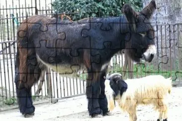 MARSU jigsaw puzzle