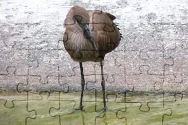 MARSU jigsaw puzzle