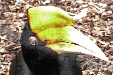 פאזל של MARSU