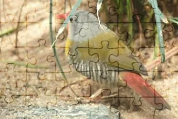 MARSU jigsaw puzzle