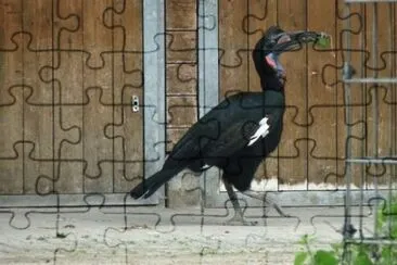 MARSU jigsaw puzzle