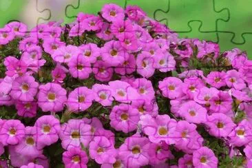 137 jigsaw puzzle