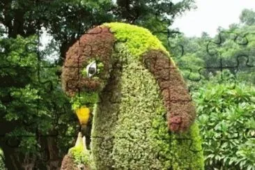 פאזל של Plantas Esculpidas