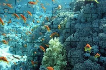 mar14 jigsaw puzzle