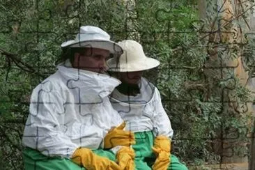 Socorro abejas