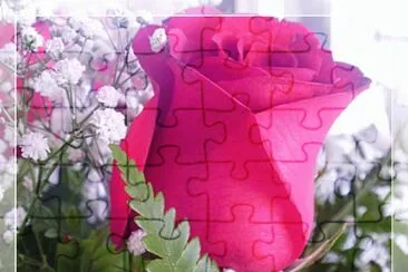 Um BotÃ£o jigsaw puzzle