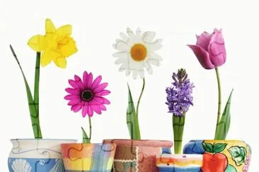 Spring Flowers in a Pot