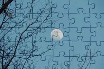 Moon in Daytime