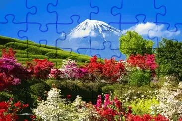 פאזל של natureza