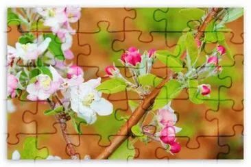 Springtime
