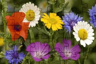 פאזל של Flowers in the Garden
