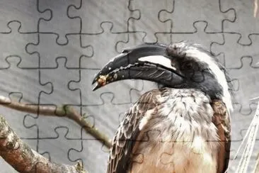 MARSU jigsaw puzzle