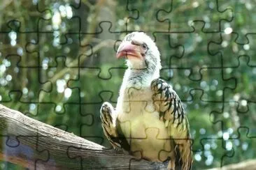 MARSU jigsaw puzzle