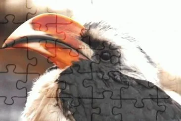 MARSU jigsaw puzzle