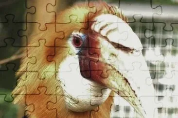 MARSU jigsaw puzzle