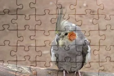 MARSU jigsaw puzzle