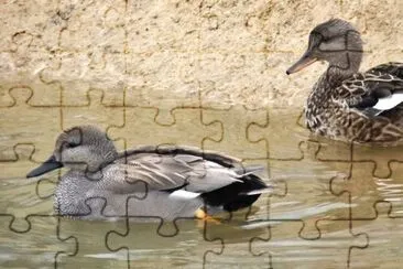 MARSU jigsaw puzzle